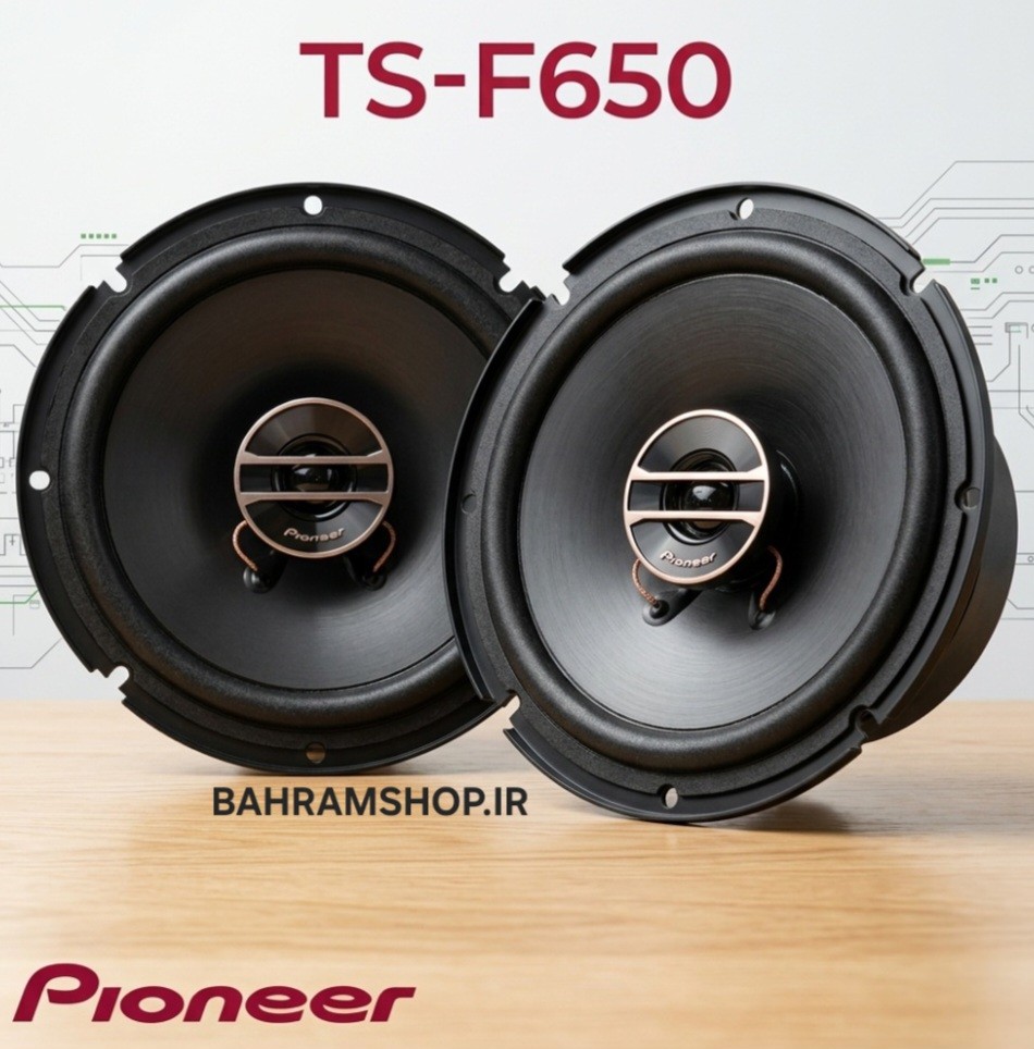 Pioneer TS-F650 بلندگو گرد پایونیر