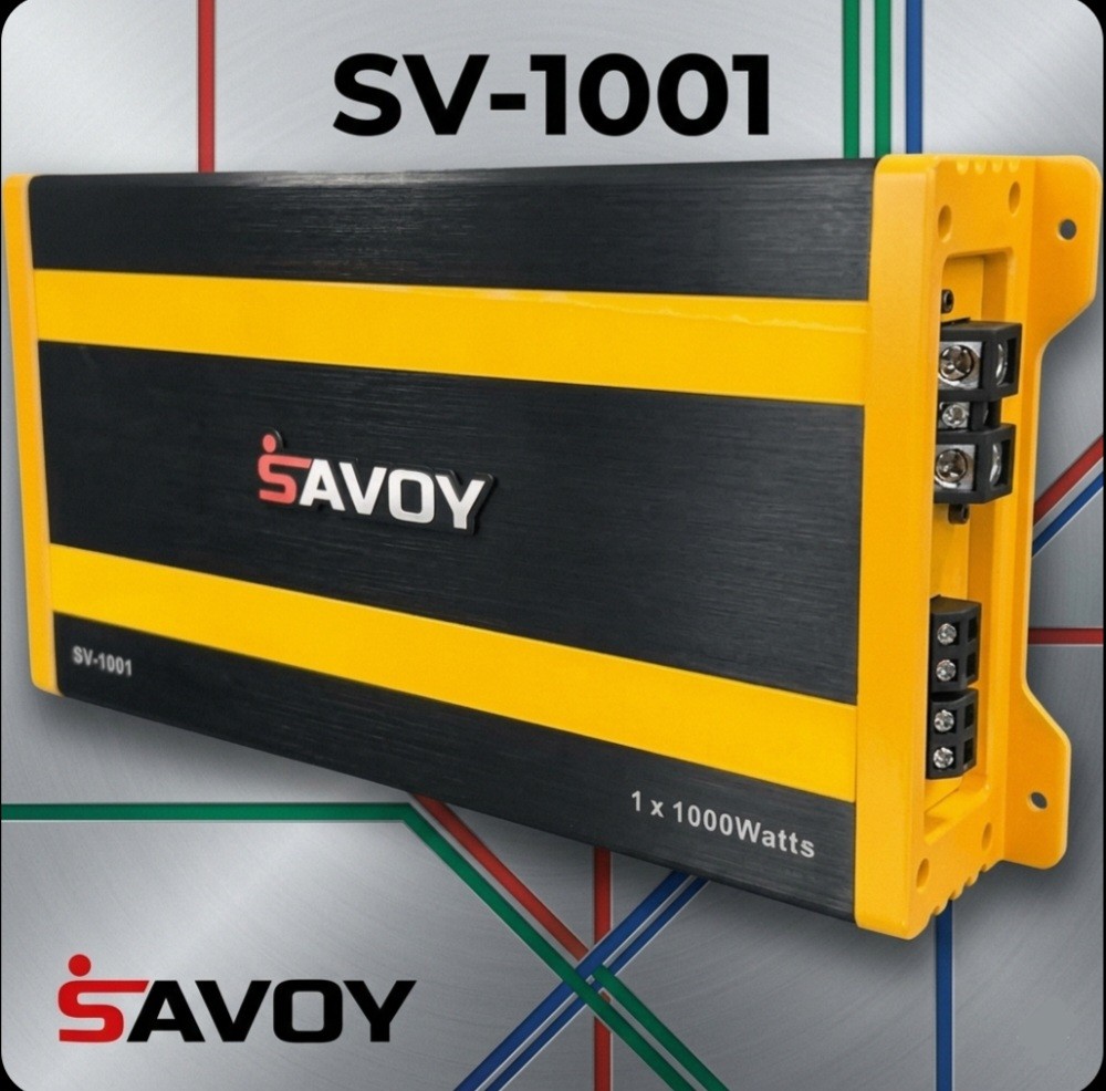 Savoy SV-1001 آمپلی فایر مونو ساوی