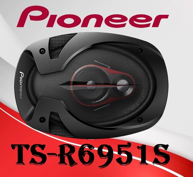 Pioneer TS-R6951S بلندگو بیضی پایونیر