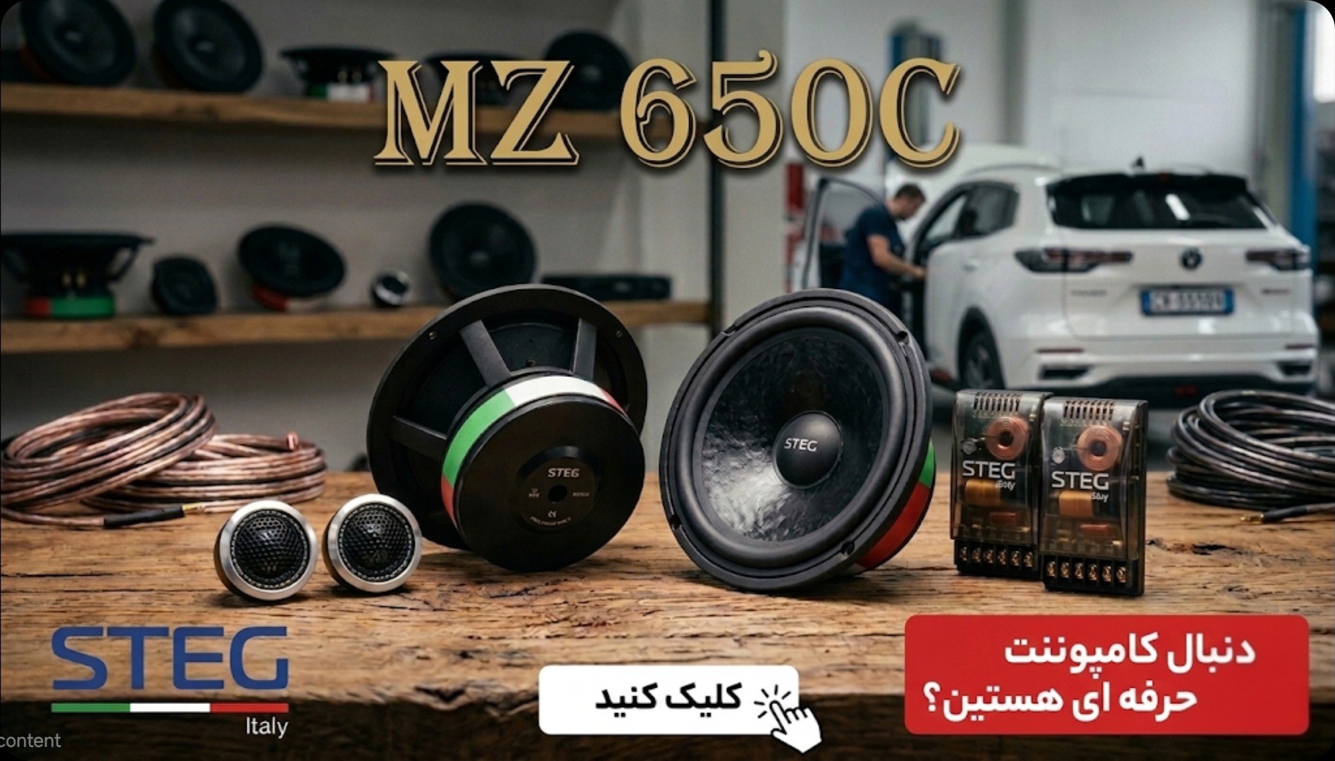 استگ MZ650C